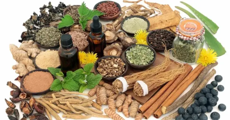 What is the difference between Maca and Ashwagandha, which one can help you?