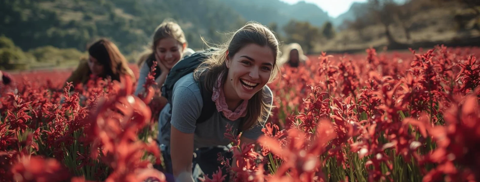 Saffron supplement 2025 buyer’s guide by Circle of Nature – authentic saffron extract capsules for mood and wellness.